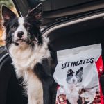 The Benefits of Partnering with Wholesale Pet Product Suppliers